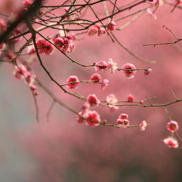 璇楃粡閮戦瑜拌３鍘嗗彶鑳屾櫙,璇楃粡鍥介閮戦瑜拌３