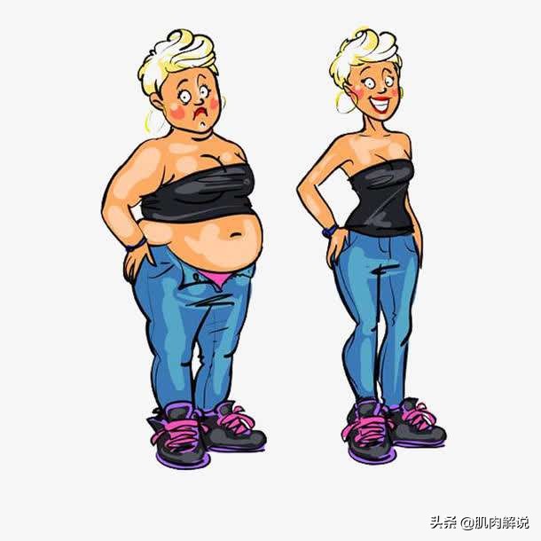 想要减掉大肚腩怎么办,想要甩掉大肚腩晚上怎么吃