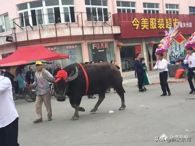阜南张氏祠堂落成庆典仪式,张氏祠堂唱戏人山人海