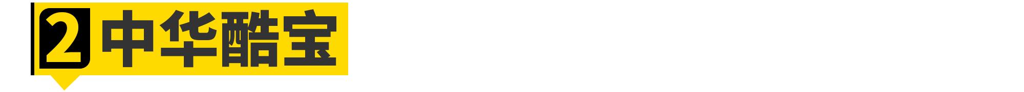 保时捷调校过的国产车,盘点和保时捷很像的国产车