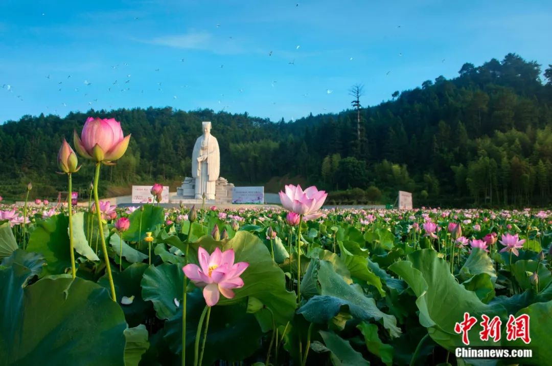 武夷山为啥名气不大,武夷山还好吗