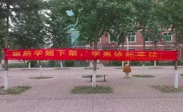 高校走心毕业季标语惹哭网友,毕业季校园里这些横幅看哭了