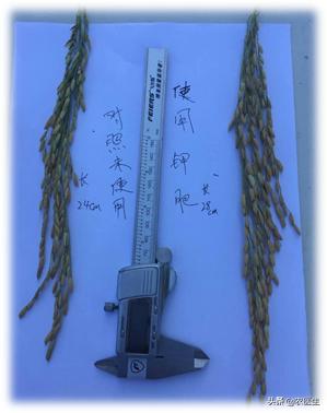 农业种植追肥是值得收藏的顺口溜,钾肥高产有什么作用