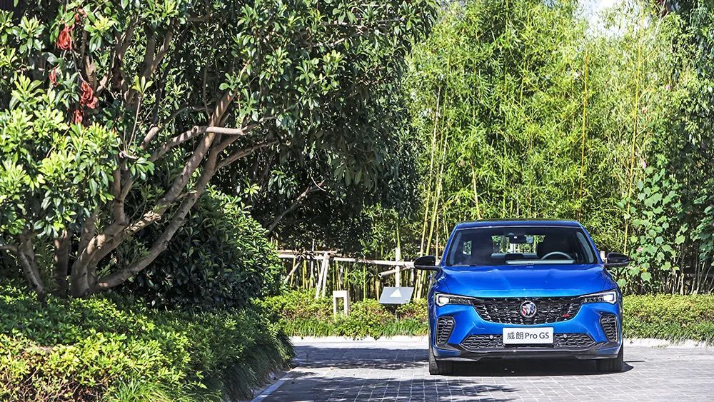 「首试」疾风劲草|上汽通用别克威朗ProGS