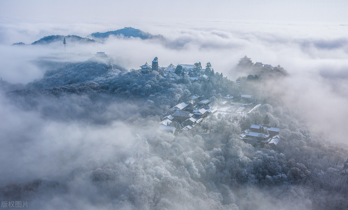鬼手神捕刀九龙的传奇故事