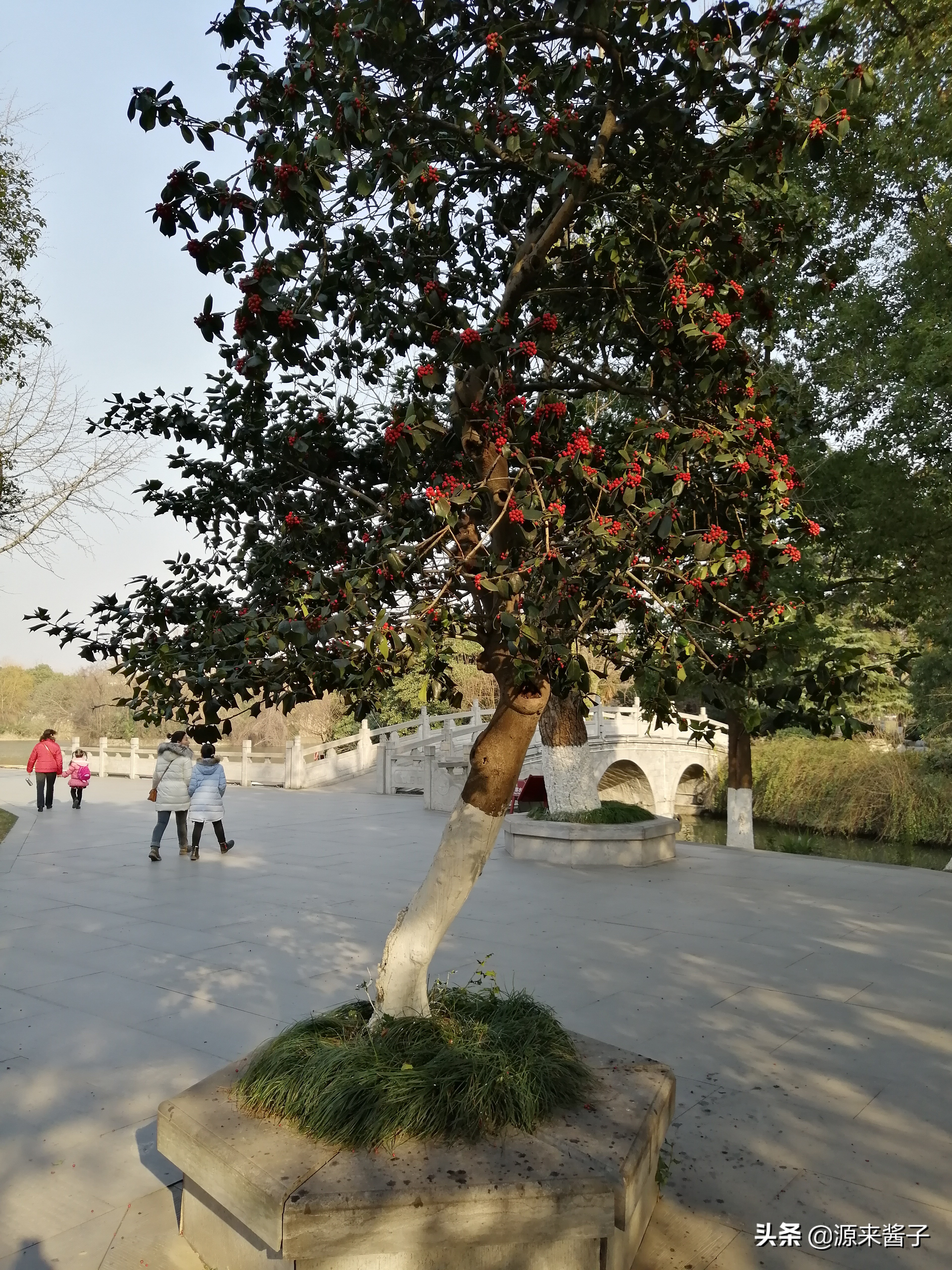 游镇江金山寺攻略,镇江一日游必去景点金山寺