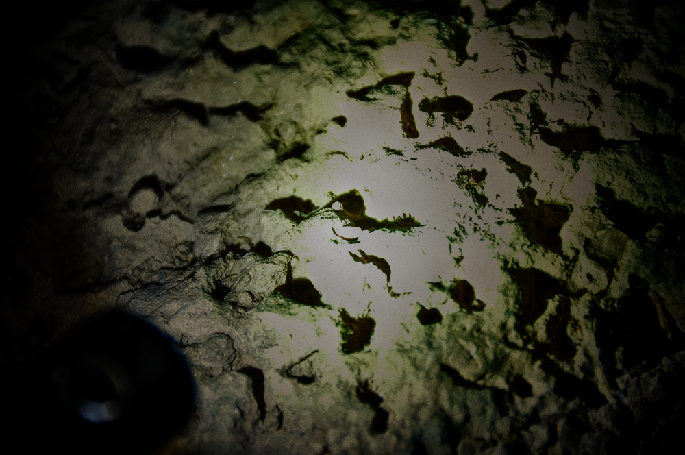 务本手电评测,务本d1手电筒测评