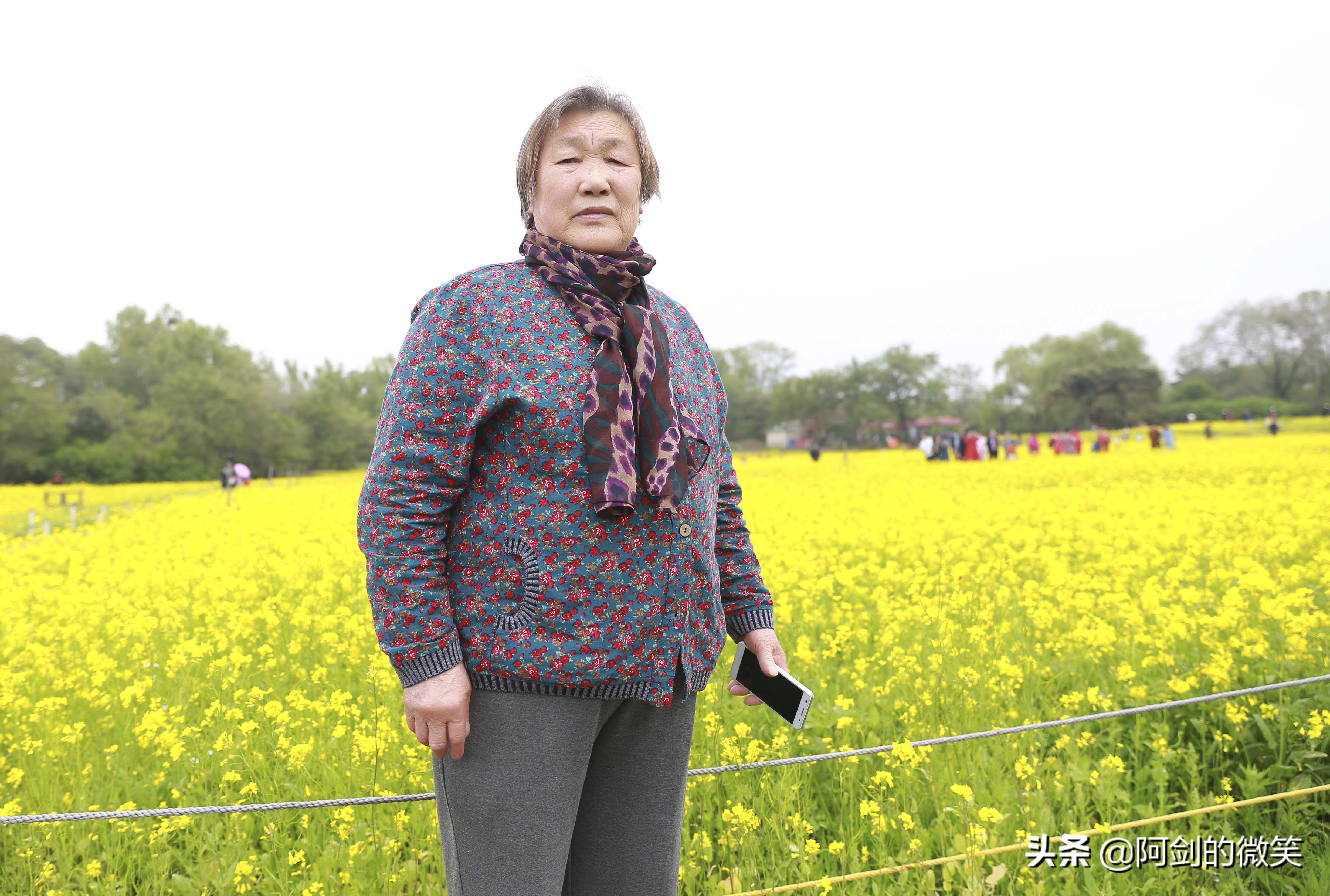 沈阳十一假期哪里有花海,沈阳玫瑰小镇温泉花海两日游