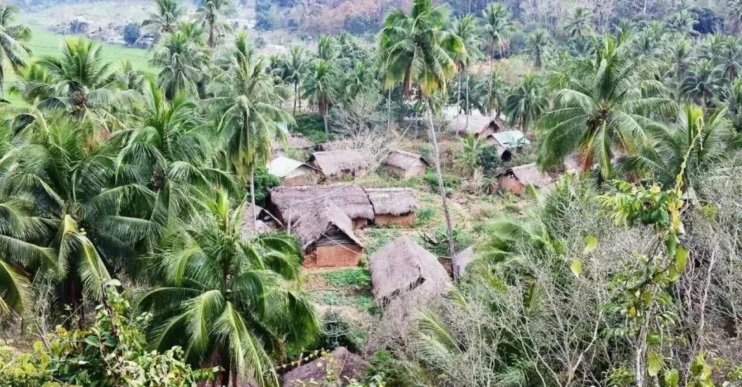 中国最美苏式私人院子,中国式老院子