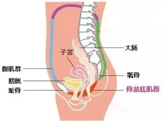 人民医院微讲堂,妇幼保健微课堂
