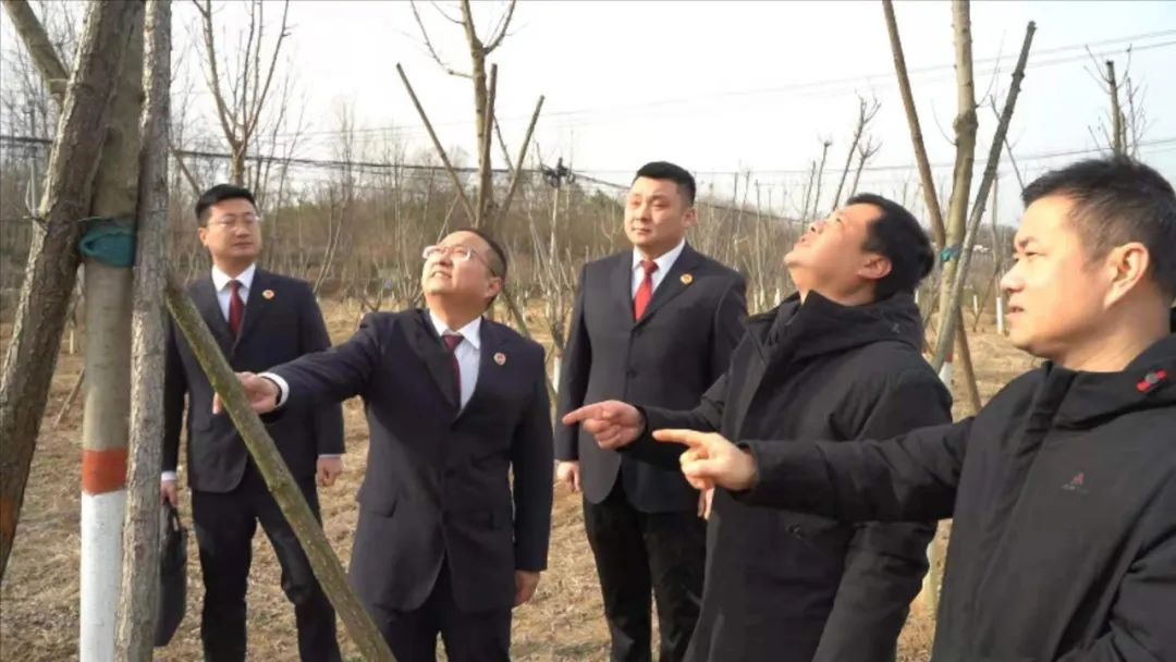 检察院典型公益诉讼案例修改意见,公益诉讼最高检指导案例第八批