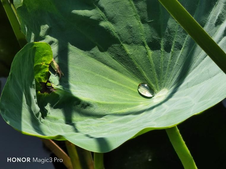 荣耀magic3pro王者荣耀画质,荣耀magic3pro用户真实评测