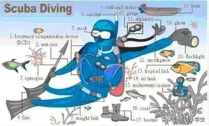 生活日常必考英语单词图片,场景记忆单词大全