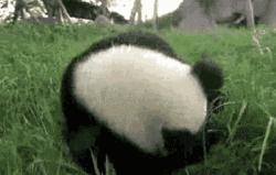 双十一过后，血槽已空，自我疗愈秘籍奉上！赶快接招！