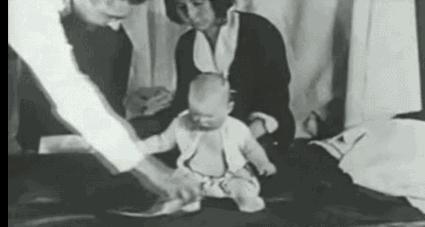 看见鸡就疯是什么病,为什么看到鸡鸟羽毛就害怕