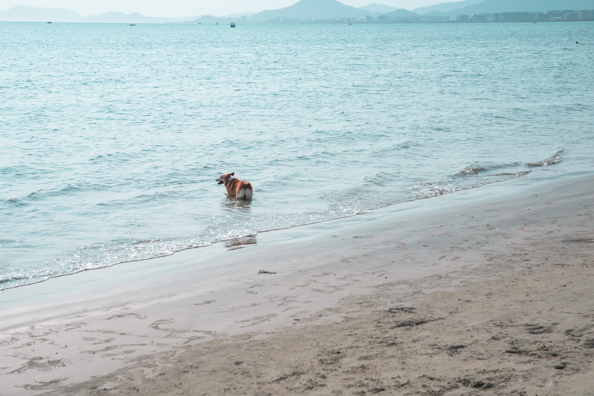 三亚的三亚湾有什么好玩的,三亚三亚湾好玩吗
