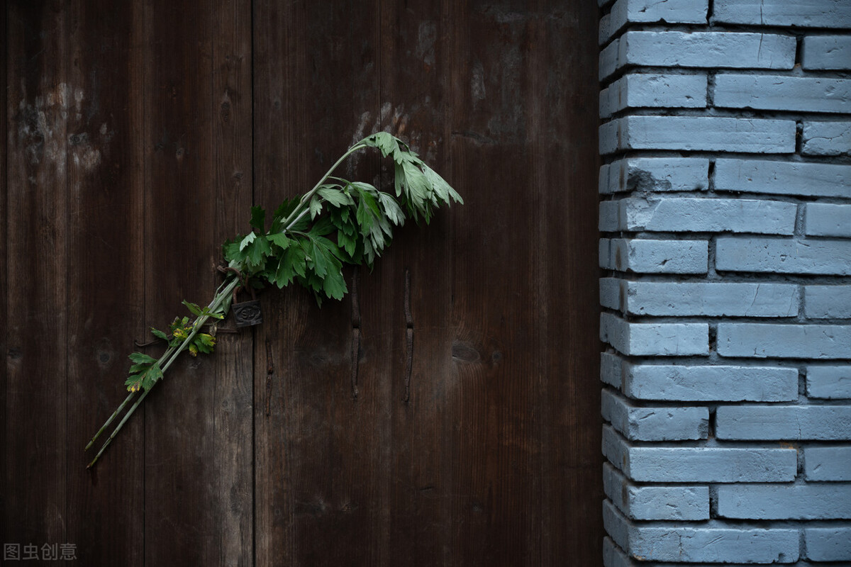 全世界的端午节,端午节全球有几个国家过