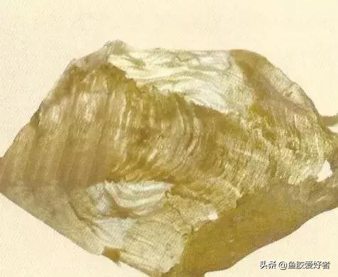 哪种鱼胶最好7种鱼胶的分类,鱼胶知识与食用方法