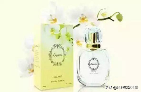 马来西亚必买十大特产零食,去马来西亚必买的小吃