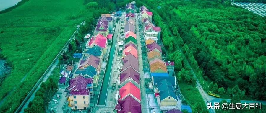 当下冷门创业商机,冷门低费用创业门路