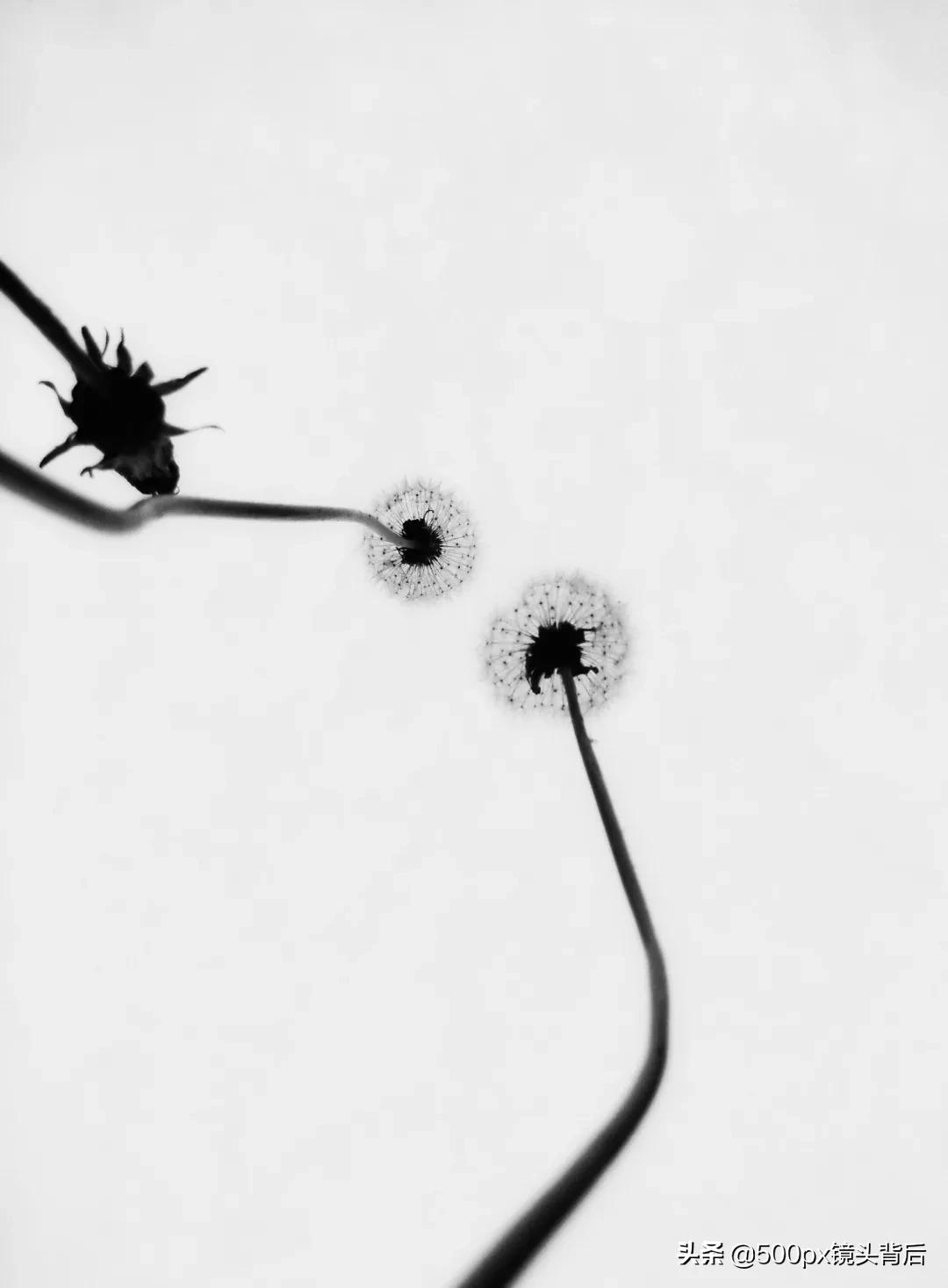 摄影课堂第一讲,每日摄影小课堂