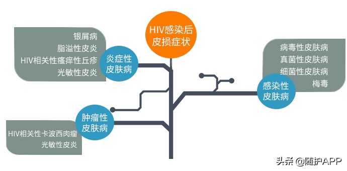 hiv的小红疹长什么样,hiv的小红点是病毒疹吗