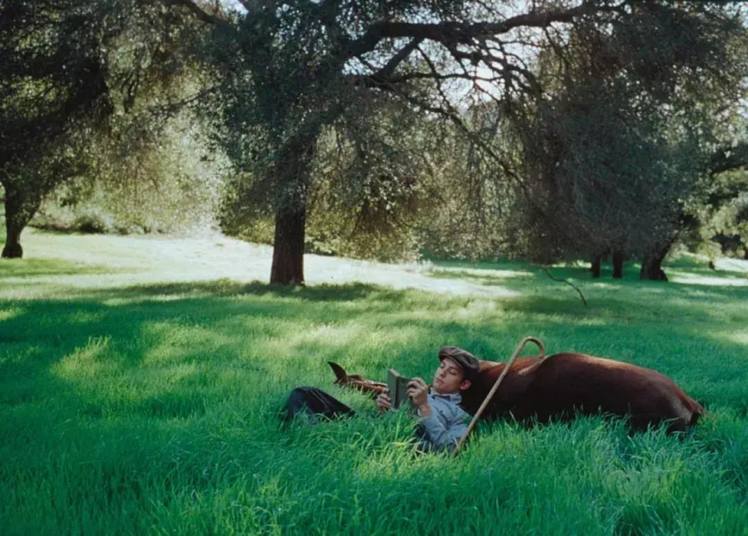 无马不自由！22部“有马”的电影，请盘住