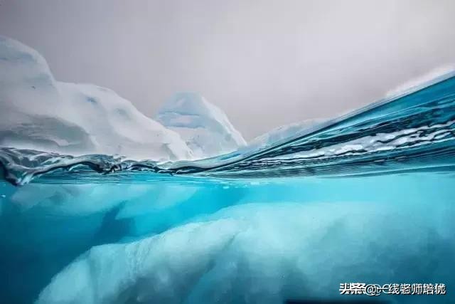 语文五年级上册第17课松鼠资料,部编版五年级上册第17课松鼠课件