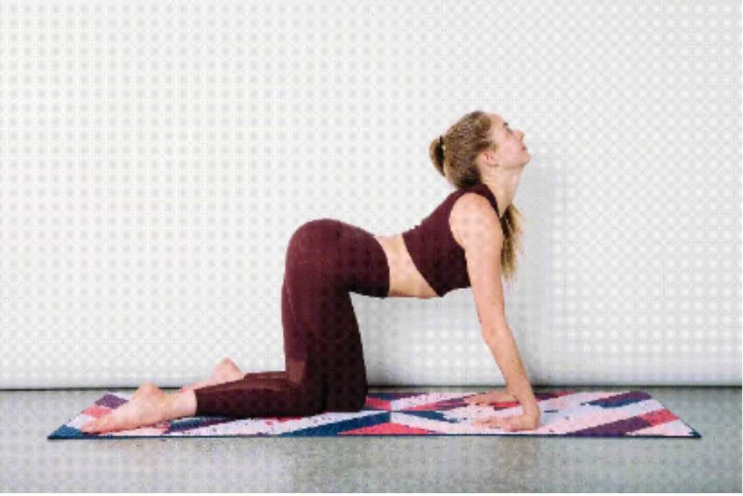 瑜伽呼吸与体式练习,体式与呼吸