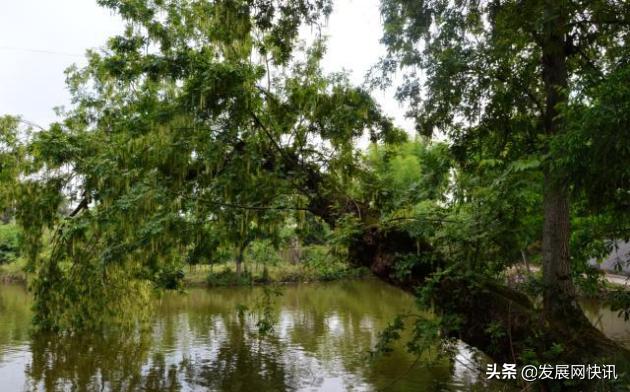 仁寿石咀的小石堰，浓浓的乡愁理不乱也剪不断