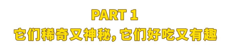 10种你想不到的水果,8种你从未听说过的最独特的水果