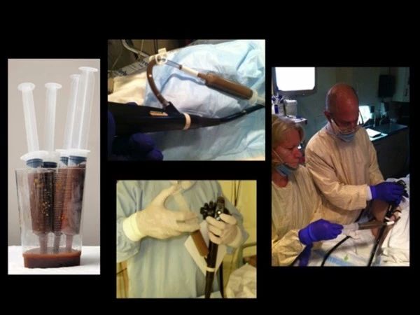 动物为什么会吃掉自己的粪便,动物吃粪便的原因