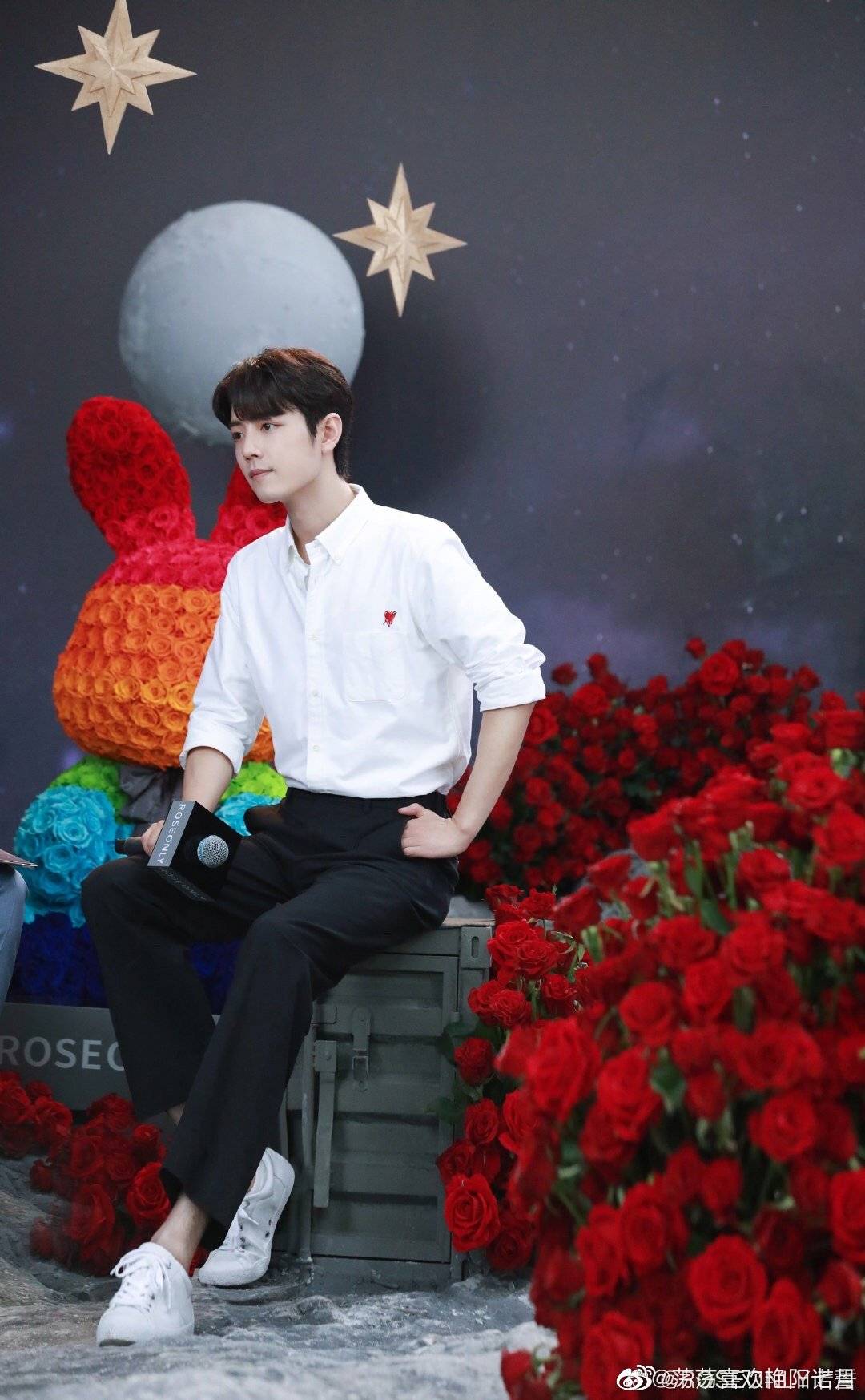 肖战roseonly直播新图,肖战代言的roseonly在哪里直播