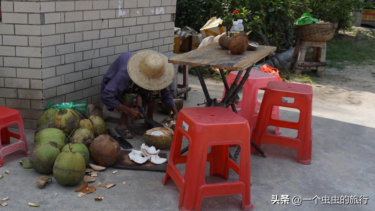 东郊椰林海韵,海韵椰风海南文昌东郊椰林
