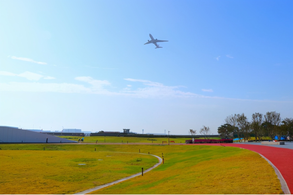 双流空港花田看飞机降落最佳地点,双流空港花田飞机场