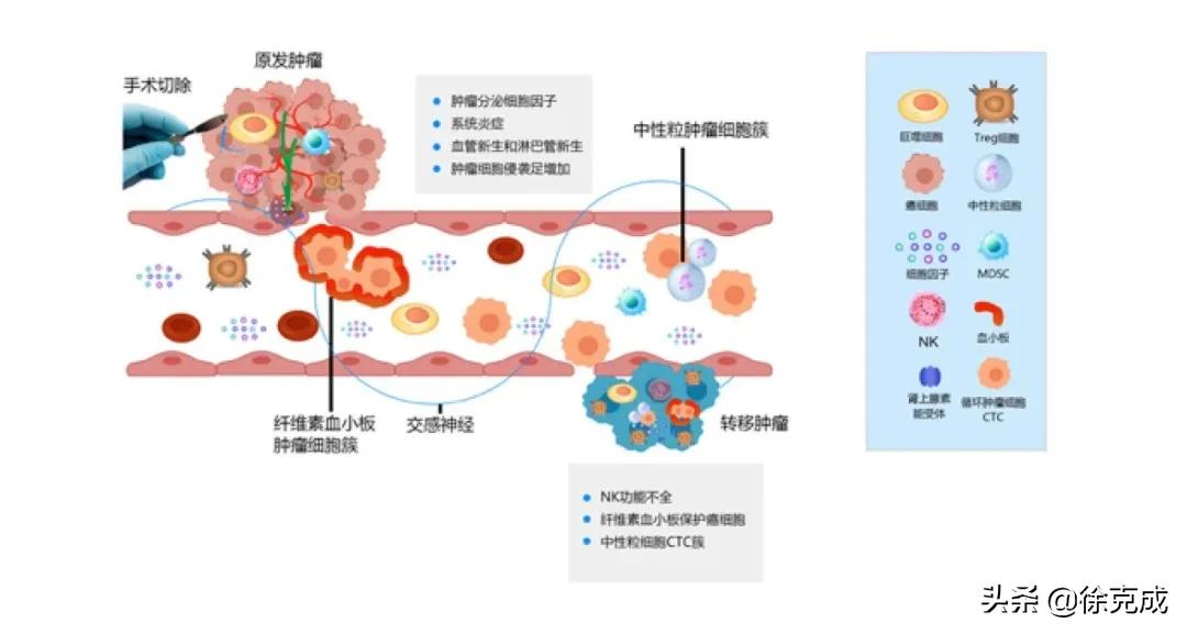 癌症的治疗与预防讲座的心得体会,癌症治疗的最终走向