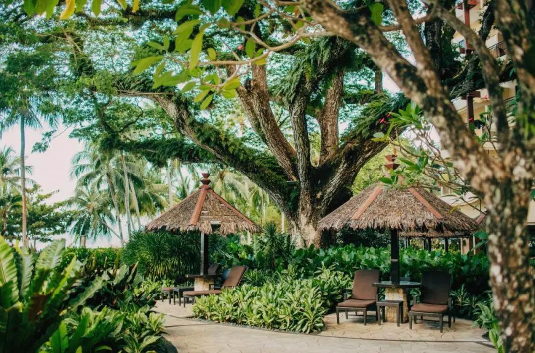 这座城市古老而又年轻,马来西亚的隐世小城