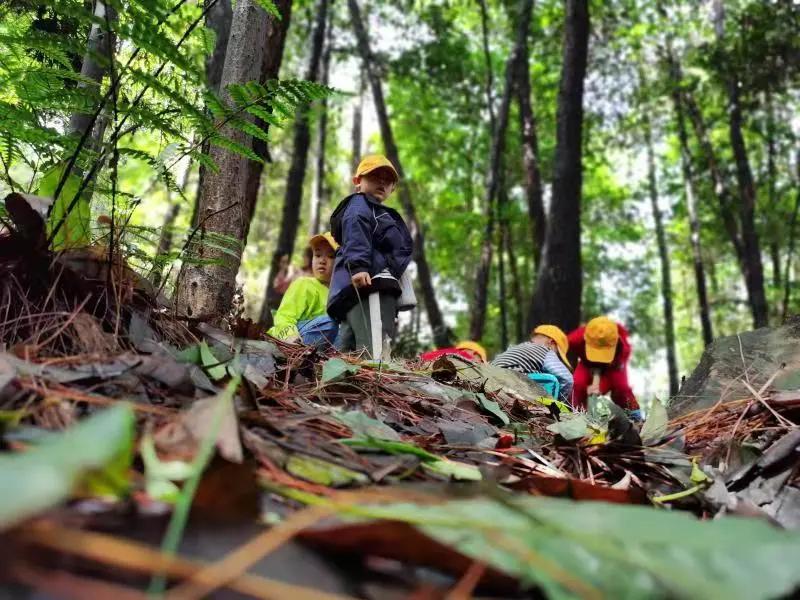 寒假研学活动圆满结束,寒假研学冬令营