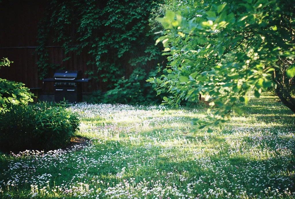 心中有花开人生春常在原文,心里有花开人生春常在