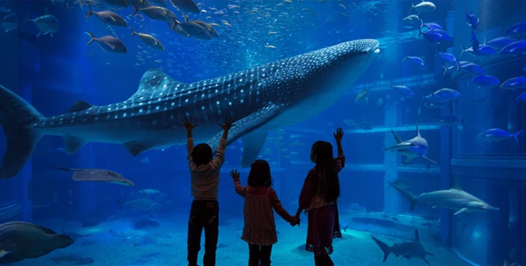 大阪亲子游必去景点推荐,亲子北海道大阪怎么玩