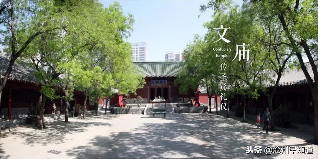 闻名遐迩的沧州，神奇的土地看得见的美！想不想一起更了解狮城呢