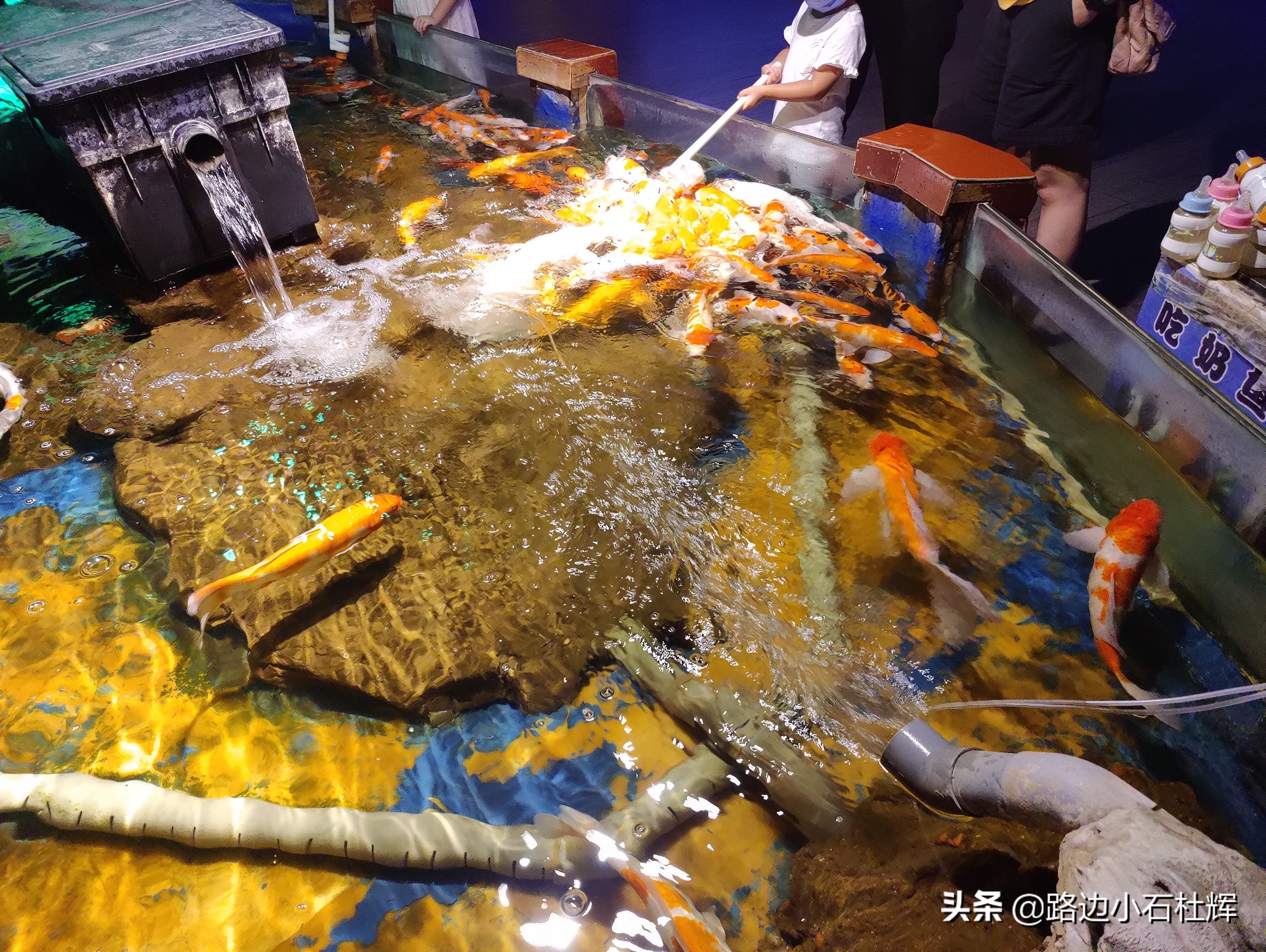 北京海洋馆游玩一览表,北京太平洋海洋馆海底世界