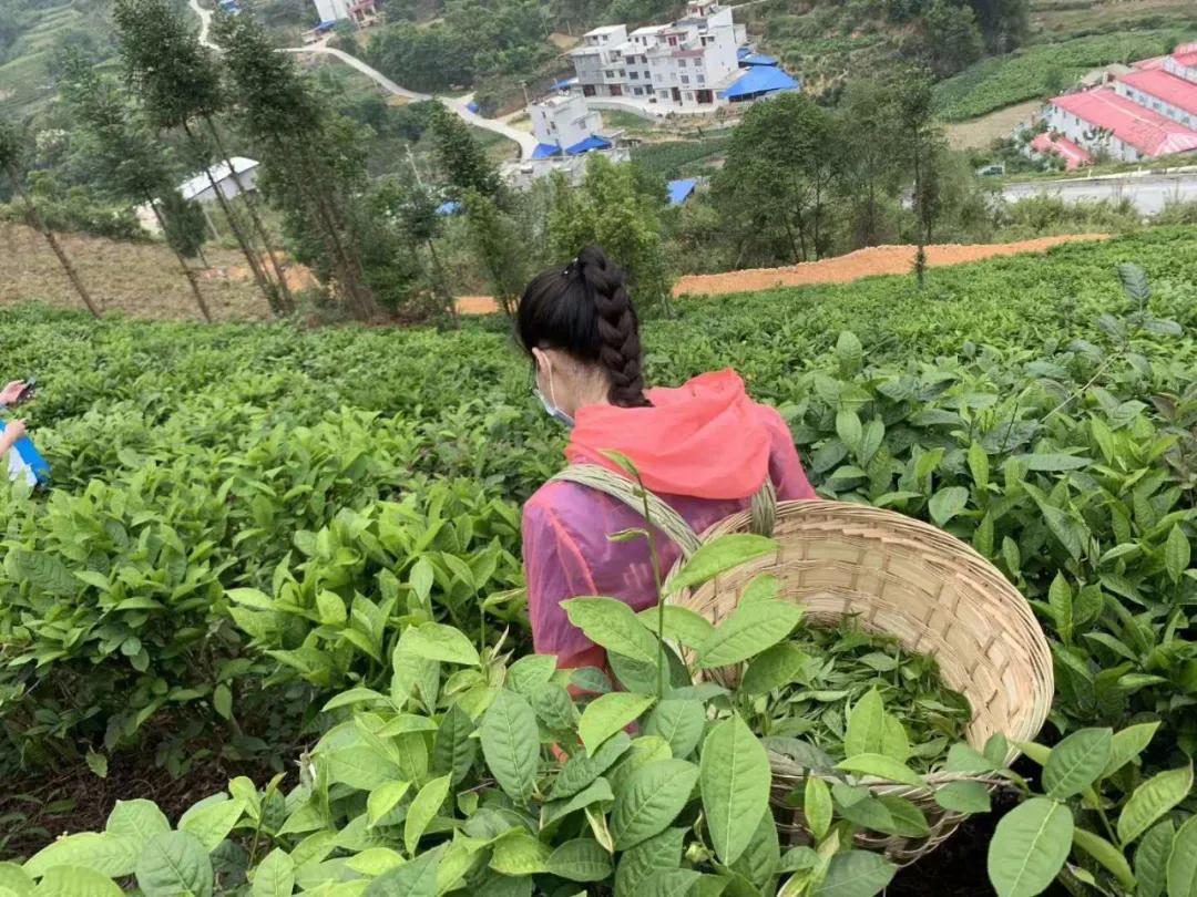 这帮人五一用爱心启航，一起为广西凌云大山的孩子点燃艺术之梦！