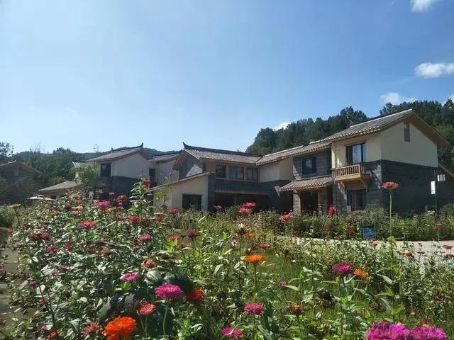 金堂橄榄小镇规划图,金堂橄榄小镇聚龙谷项目