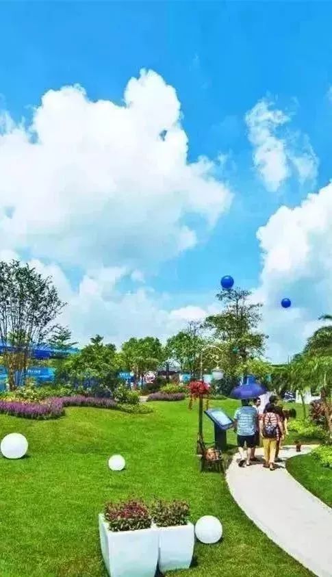 看完，会让你爱上桂平、感到自豪……