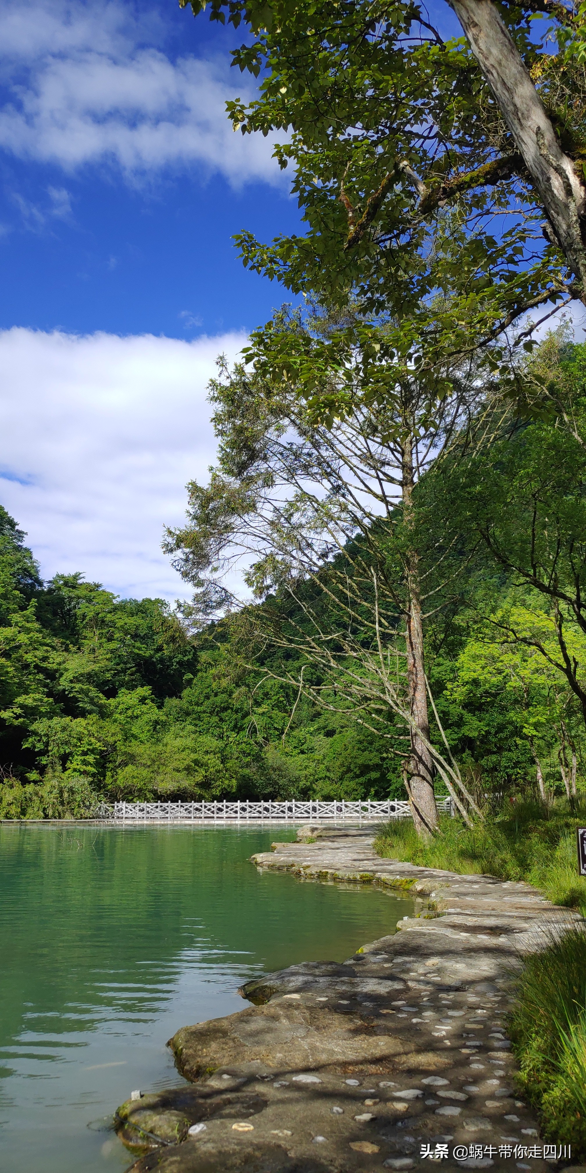 带小朋友出去看小动物,带小孩去海洋动物园