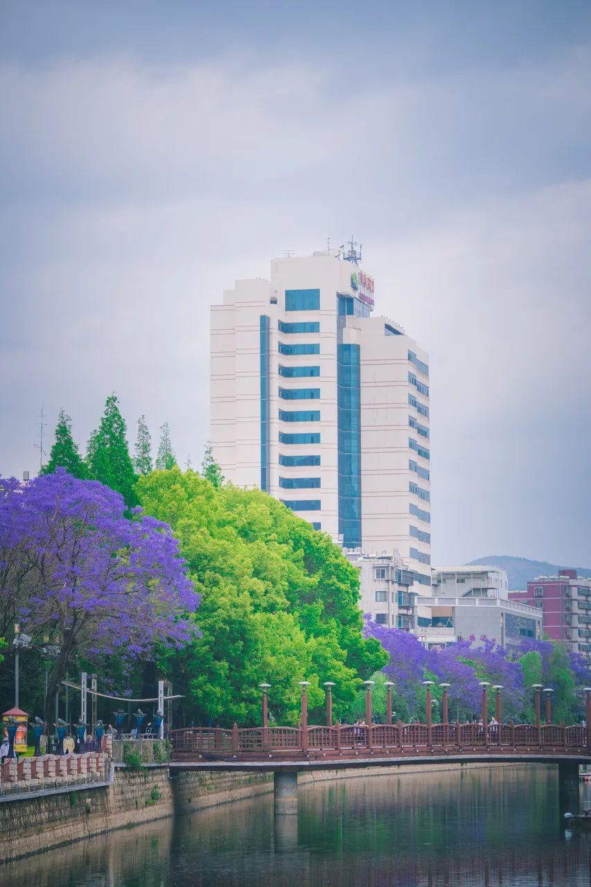 被大理丽江掩盖风头又怎样？它才是云南No.1！5月它太美了