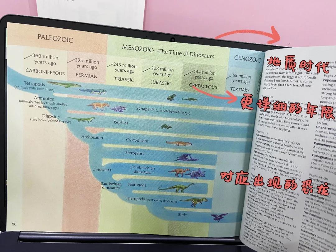 探秘恐龙世界关于恐龙的资料,恐龙世界科普知识