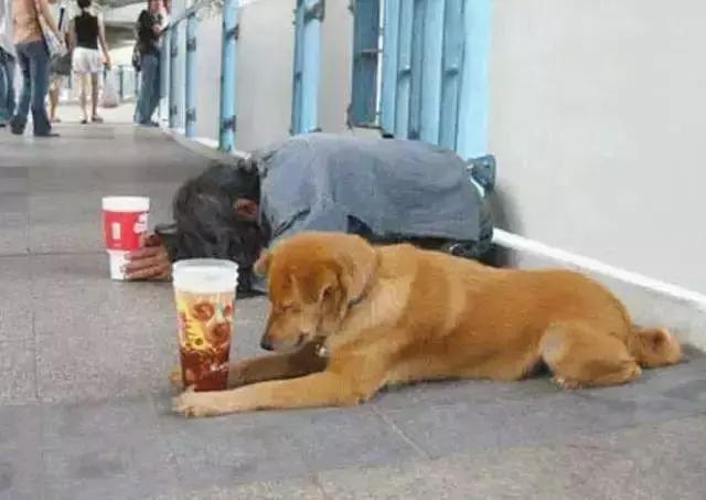 没钱了怎么办,没钱了怎么办快速解决