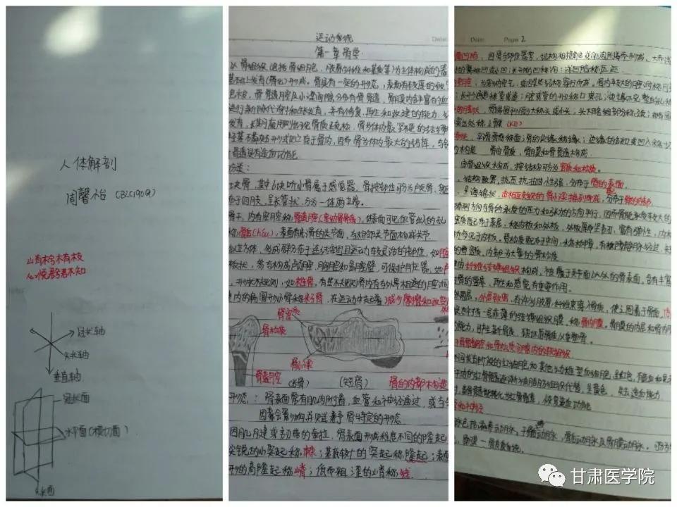 甘中医最新消息,甘中医博士生导师